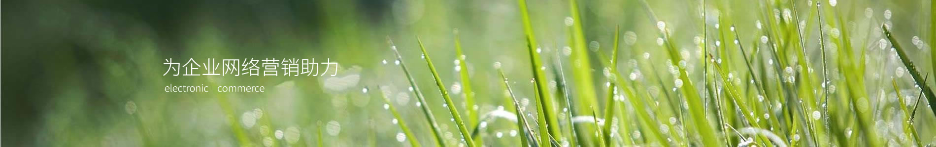 ضܷƼżҸۣ޹˾